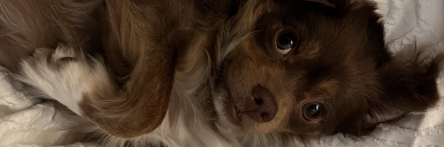 sadsthetics's profile banner image