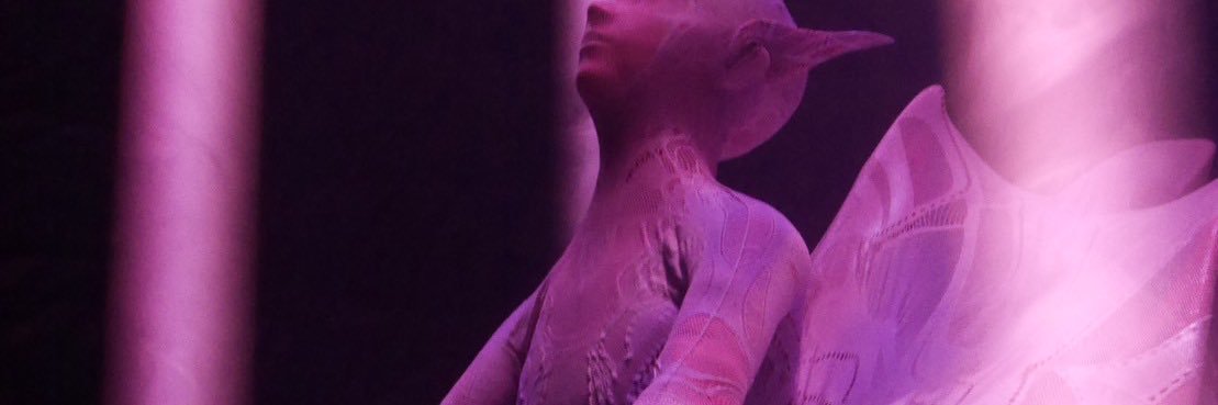 n_kymsa's profile banner image