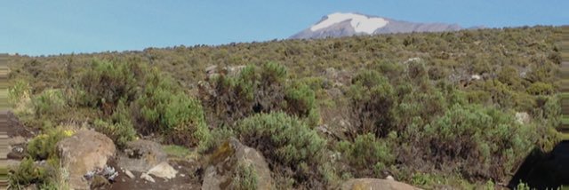 Fayelle Ouane banner