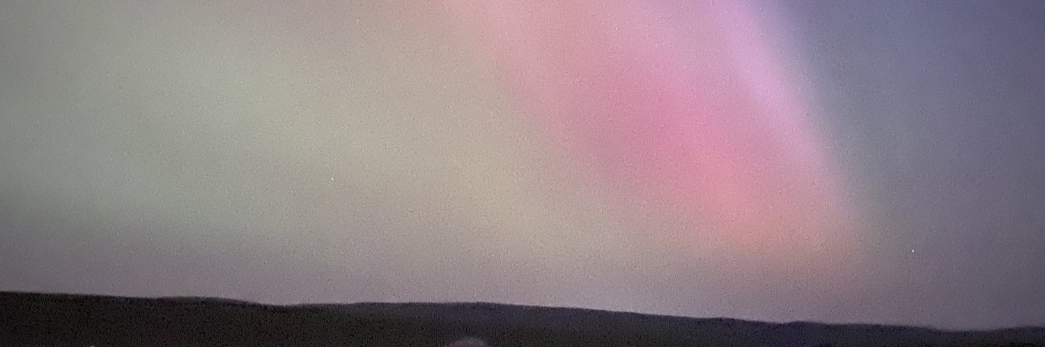 Danny Collins banner