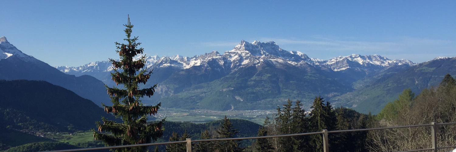 petweetcher's profile banner image