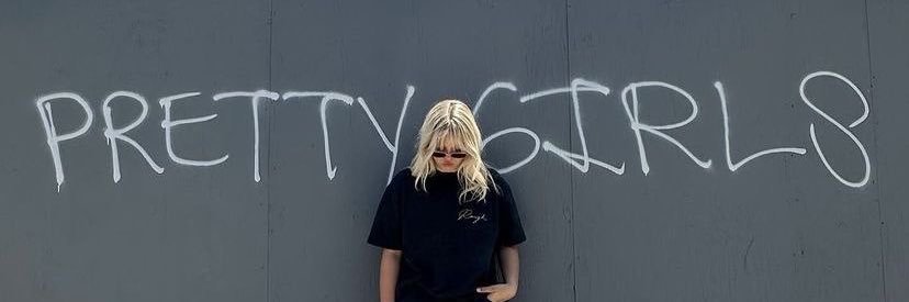sophie banner