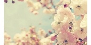 MariaMansonSSH's profile banner image
