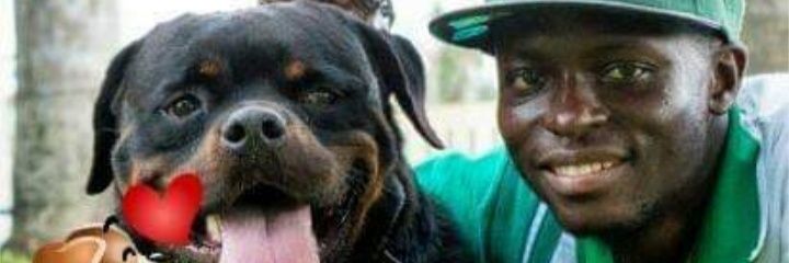 MaMereKennels's profile banner image