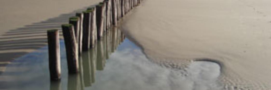 InSigt's profile banner image
