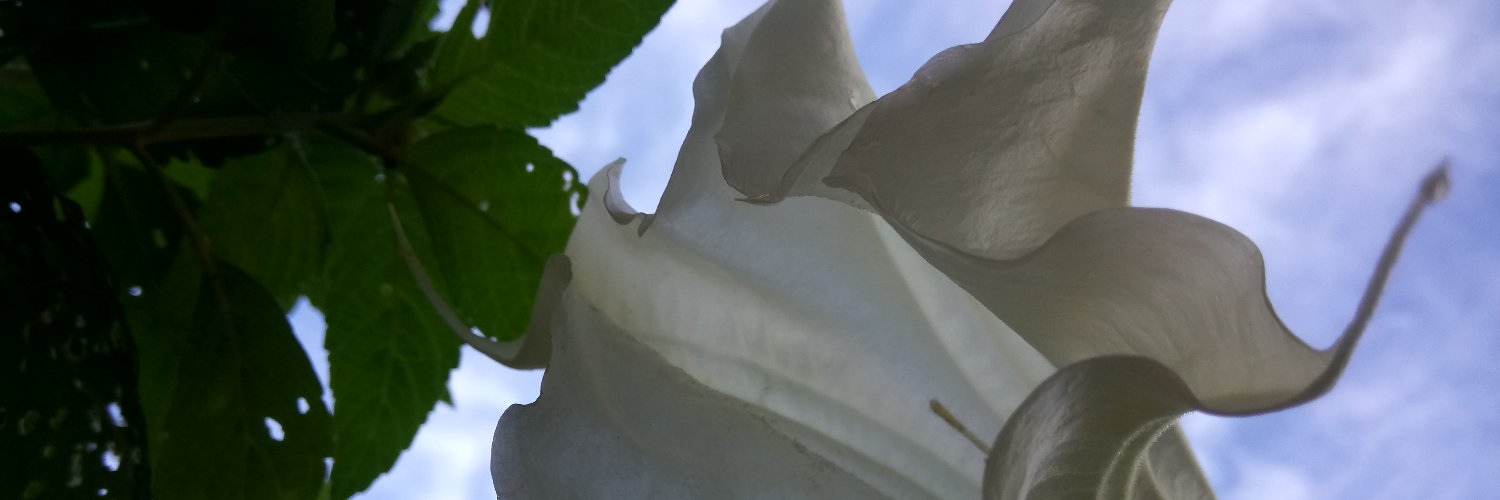 jesuita13's profile banner image