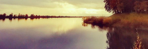 Shazzabizarre Profile Banner