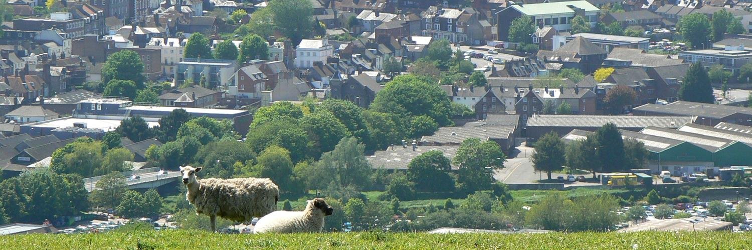 Love Lewes banner
