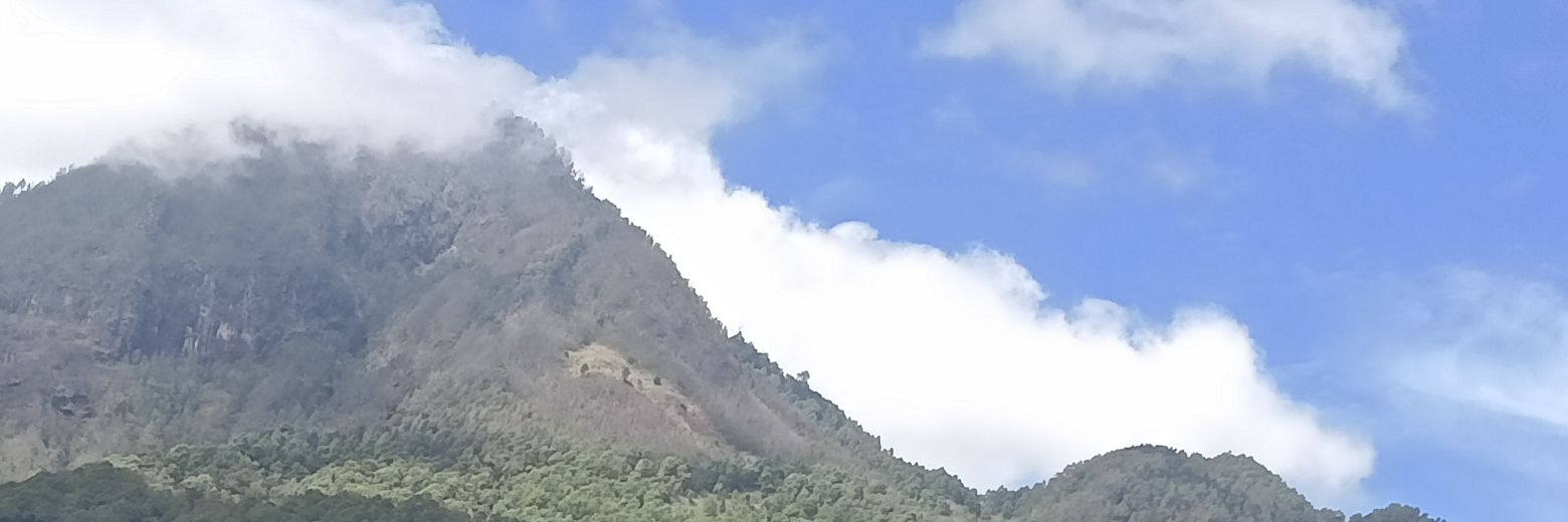 diofranda96's profile banner image
