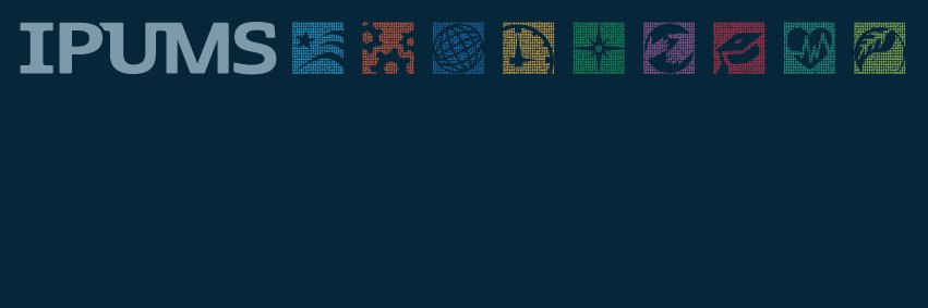 nhgis's profile banner image