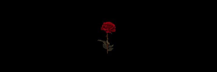 illusionKss's profile banner image