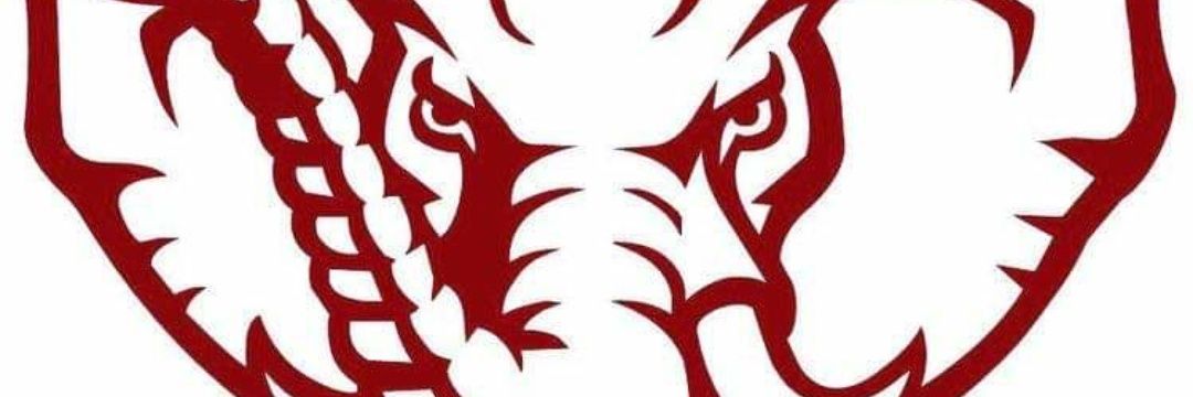 darnell_thomas's profile banner image