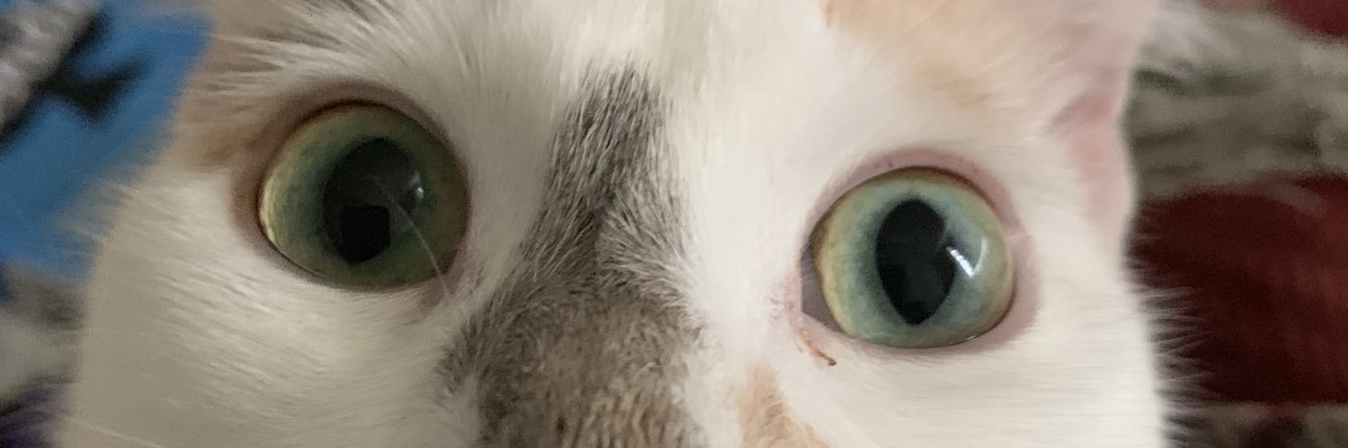 annabananerzz's profile banner image