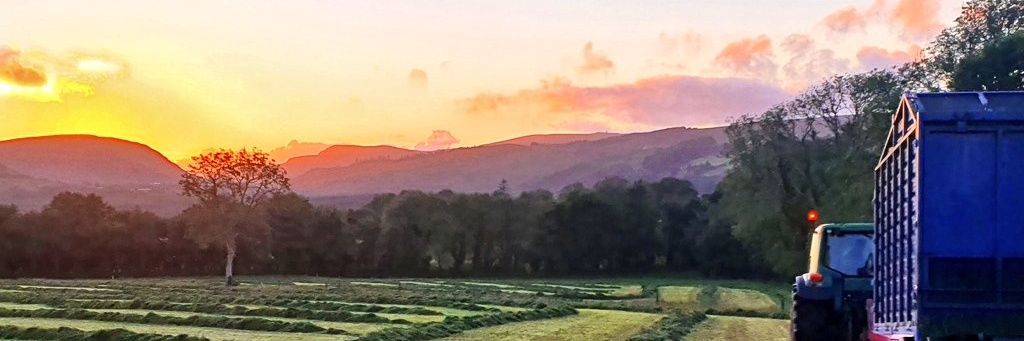 Declan Marren banner