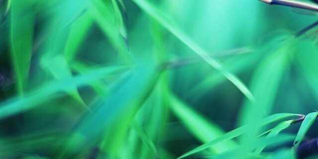 durham_finest's profile banner image