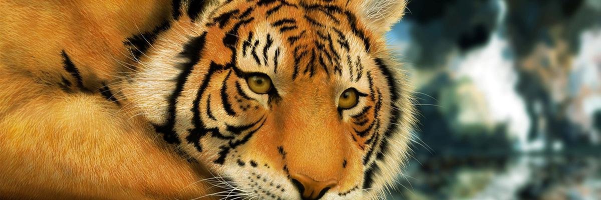 bronganira's profile banner image