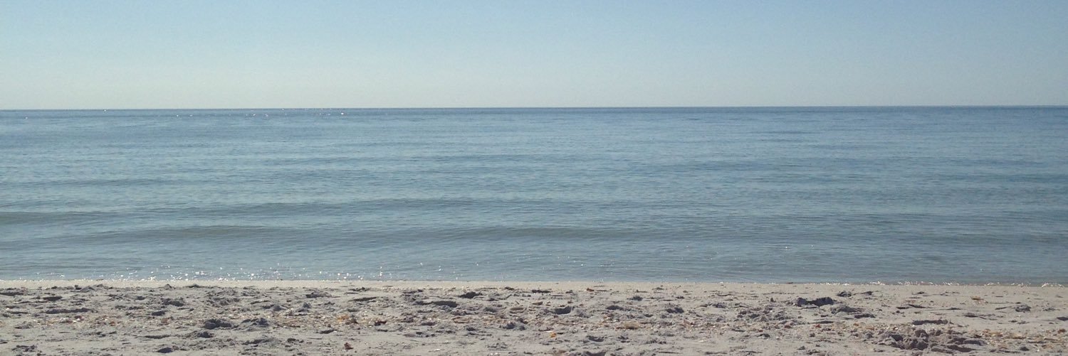 saradavid86's profile banner image