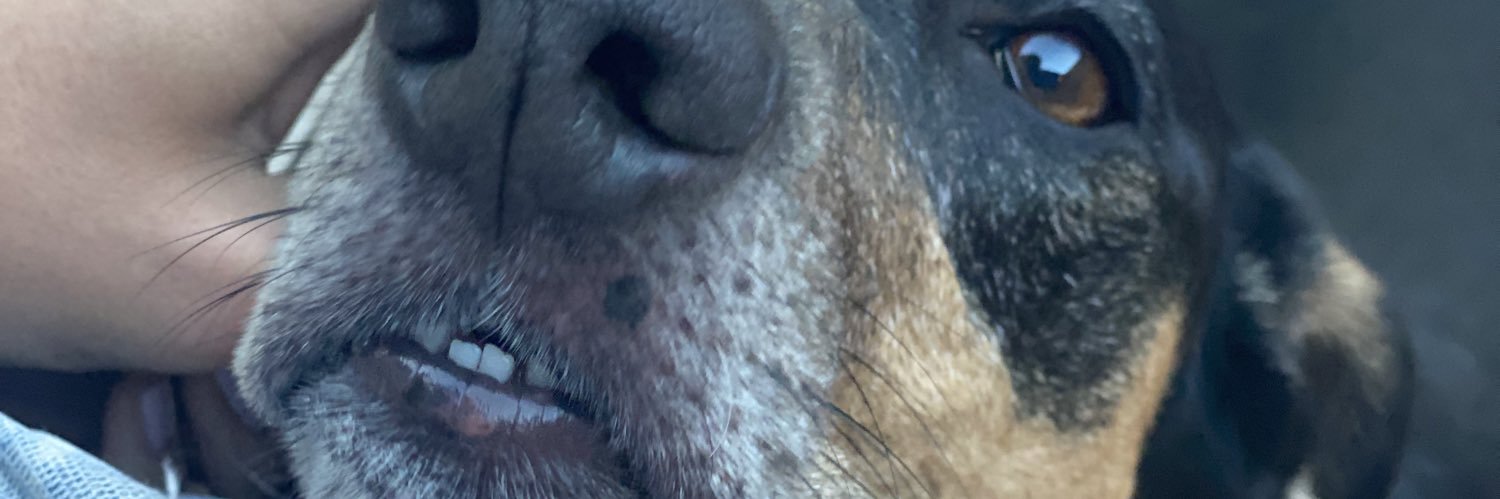 jazchucrossi's profile banner image