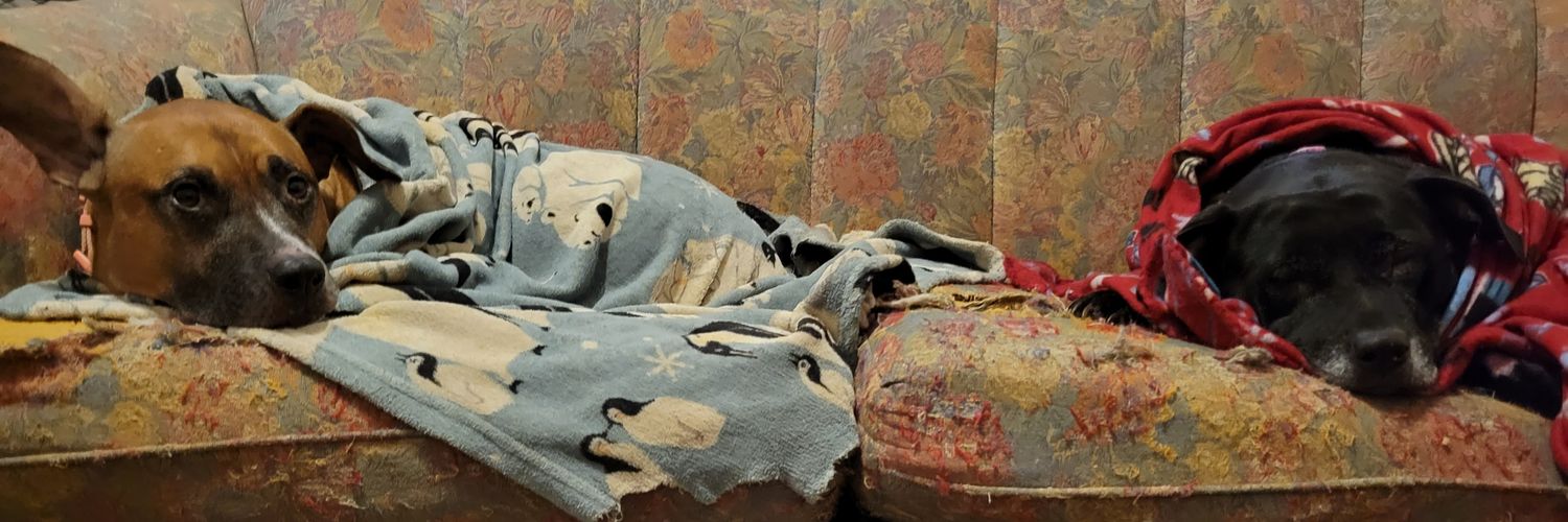 Thomas Howard banner