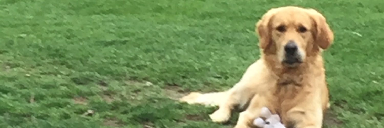 Stacy_Tilton's profile banner image
