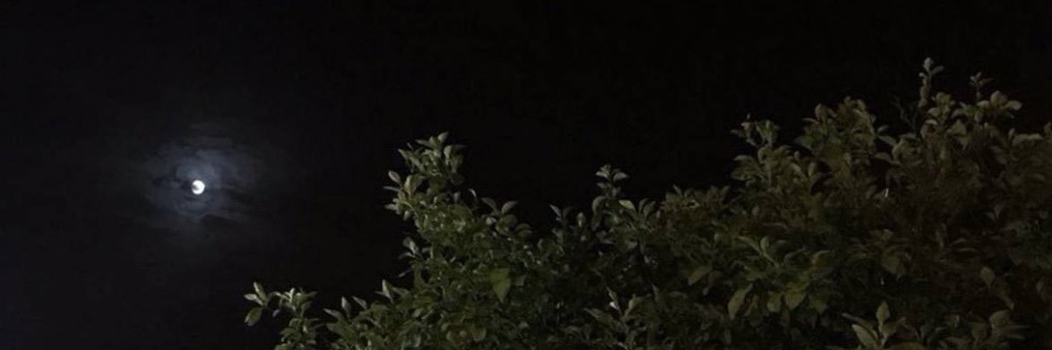 _vxey's profile banner image