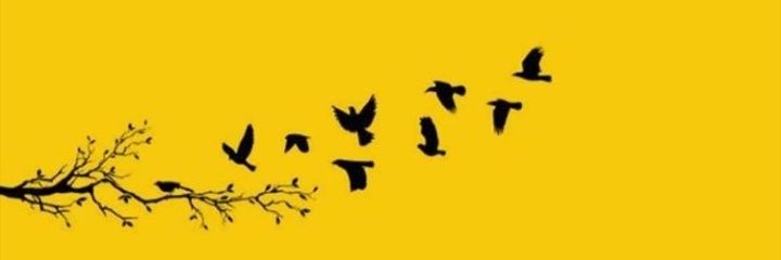 cb8a6ac205ec449's profile banner image