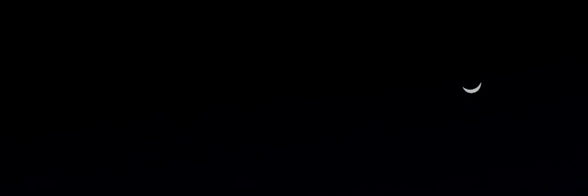 stfumfsitscha's profile banner image
