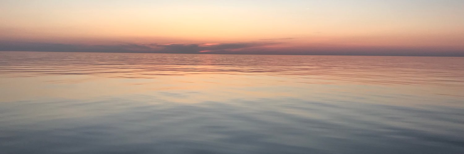 Allison Remington (Rogers) banner