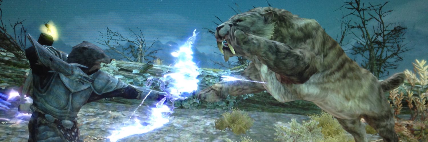 CallyBear007's profile banner image