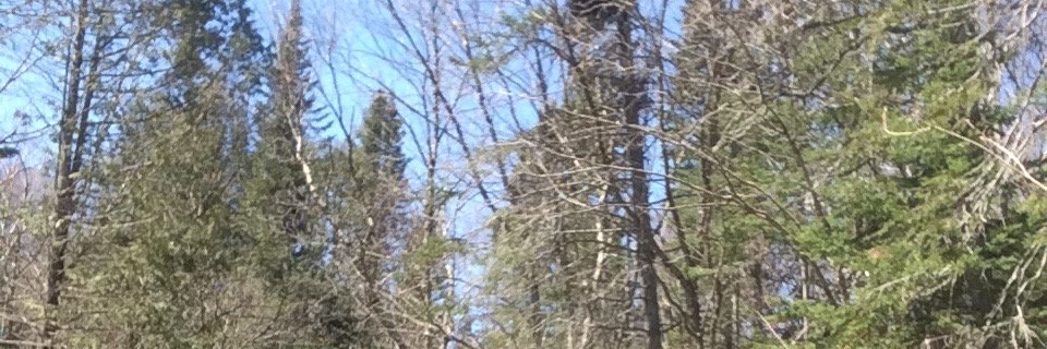 fugerel2's profile banner image
