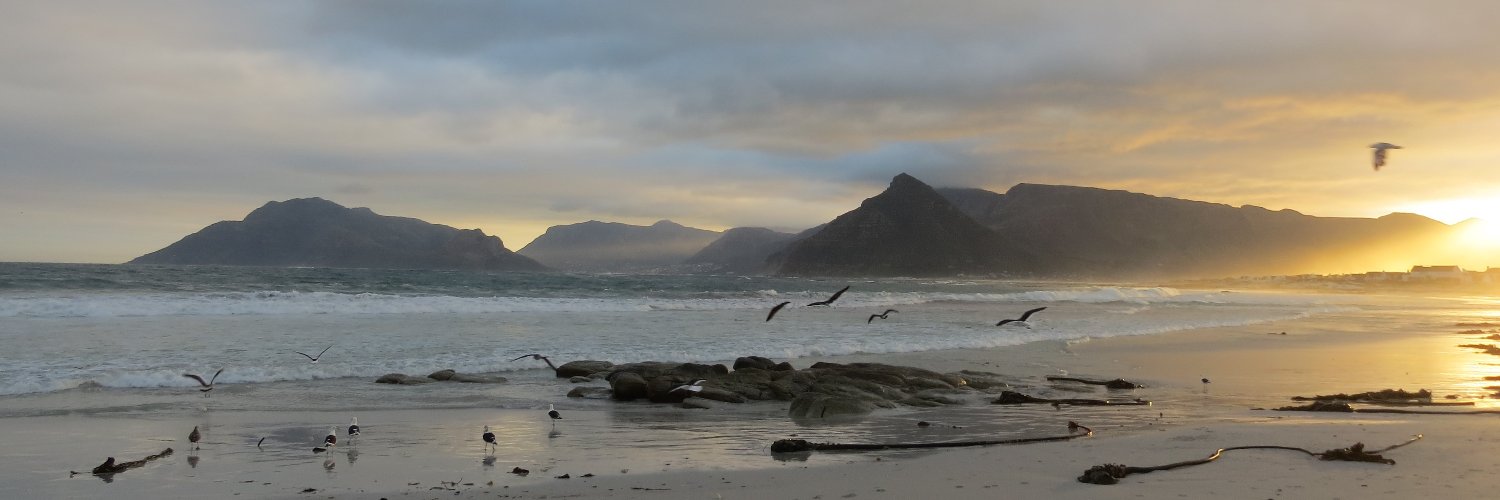 Wanda Möller banner