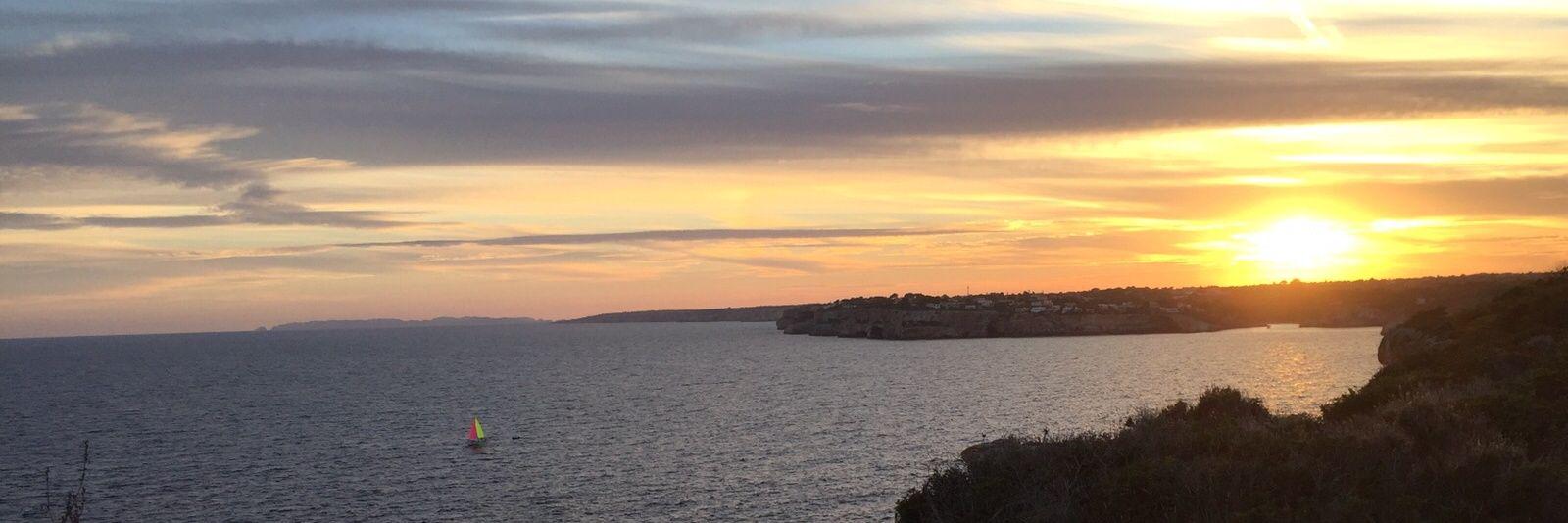 Patricia Gómez Picard banner