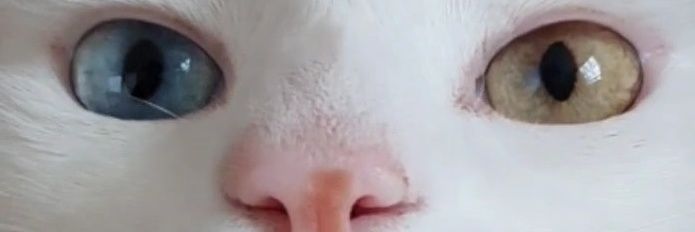 KGR_Motta's profile banner image