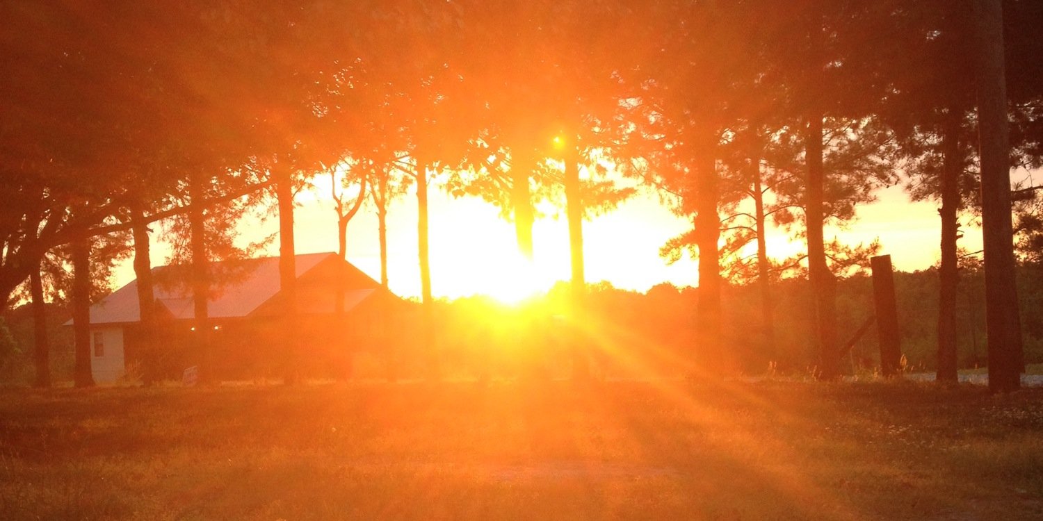 breannafelts's profile banner image
