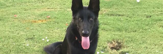 zboren20's profile banner image