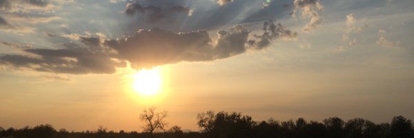 theofficefan_cl Profile Banner