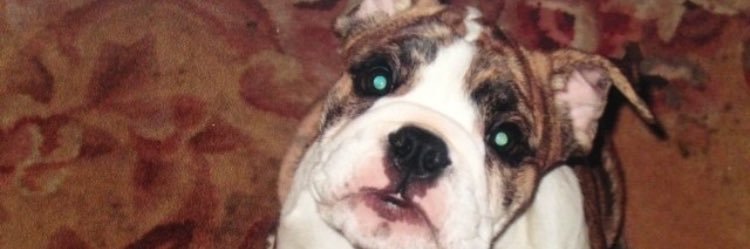 ReggieKushhh's profile banner image
