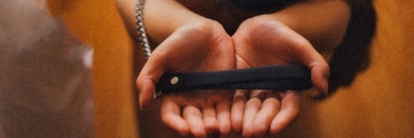 surexciter's profile banner image