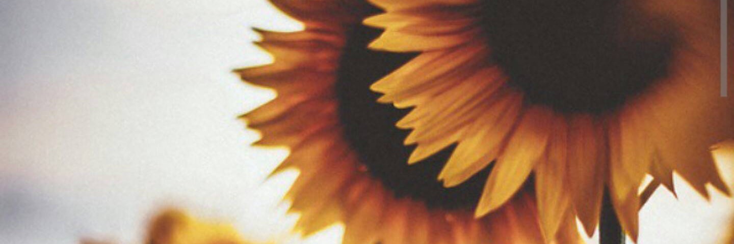 iyejisol's profile banner image