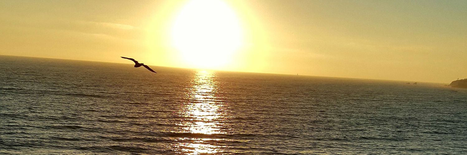 ocpink's profile banner image