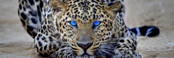 MrHunyar's profile banner image