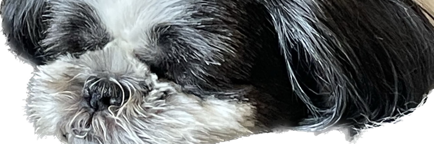 Vince1388's profile banner image