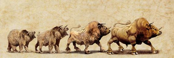 Pieter Hurter banner