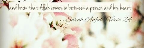 si_si123's profile banner image