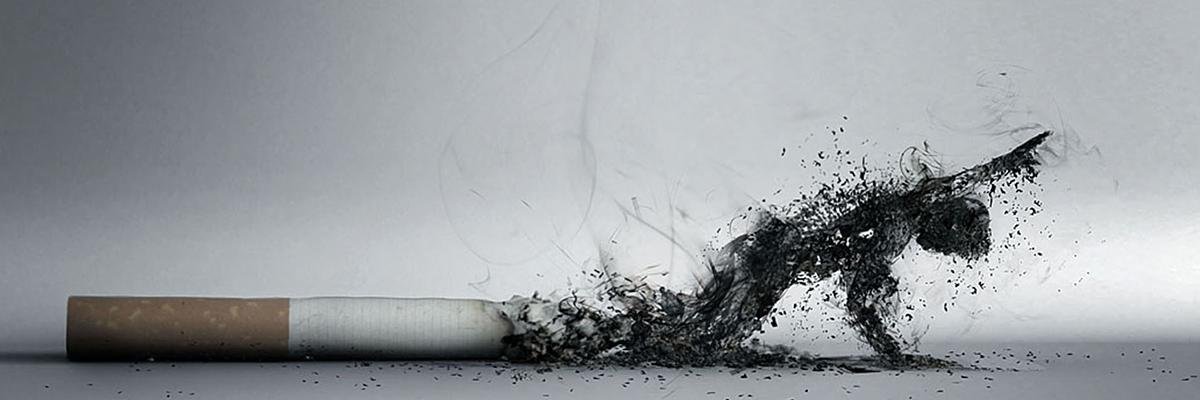tendistdistcomp's profile banner image