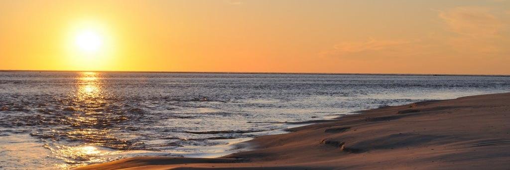 Isla enfurecida banner