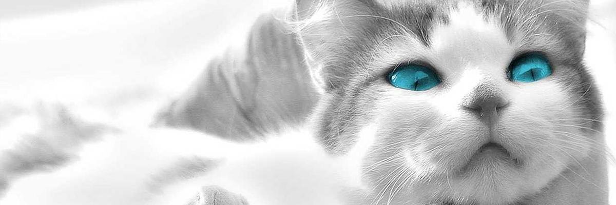Жукова Марина banner