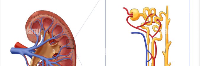 drsarrmoussa's profile banner image