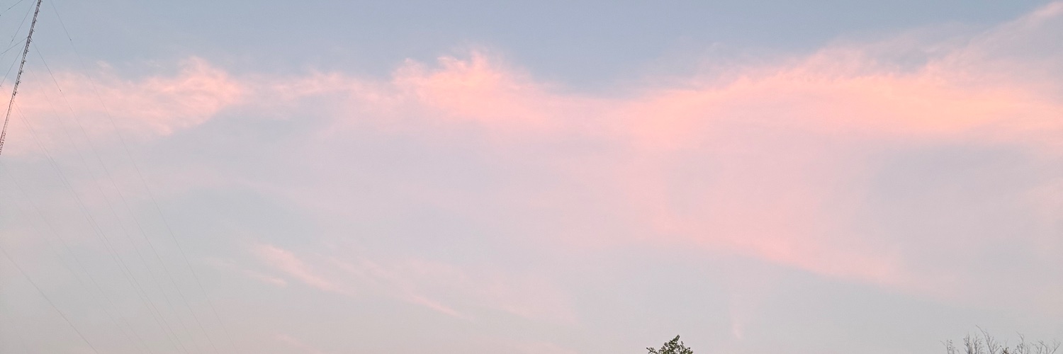 LexisLololol's profile banner image