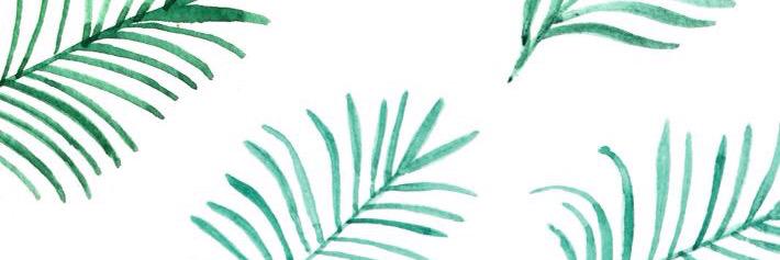 tehlilian's profile banner image